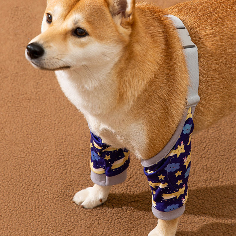 Dog Knee Braces